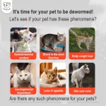 Drontal Cat Parasite Repellent Single Tablet Pack - Image 2