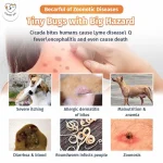 Ivermectin External Deworming Solution Three Piece Pack - Image 3
