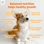 Pet Multivitamin Mineral Liquid Supplement 60ml Bottle - Image 6