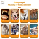 Calcium Vitamin D Pet Supplement Tablet Bottle - Image 3