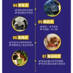 Goat Milk Calcium Tablets Pet Supplement Bottle - Image 3