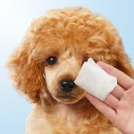 Blue Moist Pet Wipes Travel Pack - Image 2
