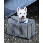 Gray Mesh Soft Sided Pet Carrier Bag - Image 2