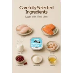 Salmon Shrimp Coat Shine Cat Food Tray - Image 3