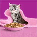 Whiskas Chicken Adult Cat Food Pouch 80g - Image 2