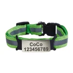 Green Reflective Adjustable Pet ID Collar
