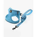 Blue Padded Pet Harness With Matching Leash