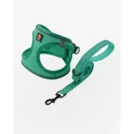 Green Padded Pet Harness With Matching Leash