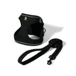 Black Padded Pet Harness With Matching Leash