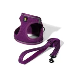 Purple Padded Pet Harness With Matching Leash