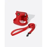 Red Padded Pet Harness With Matching Leash