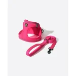 Pink Padded Pet Harness With Matching Leash