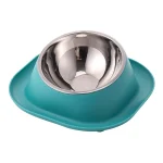 Teal Single Stainless Steel Pet Feeding Bowl