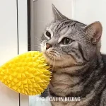 Yellow Textured Pineapple Cat Chew Toy
